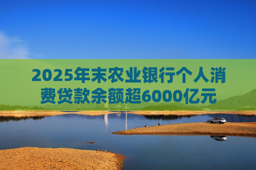 2025年末农业银行个人消费贷款余额超6000亿元