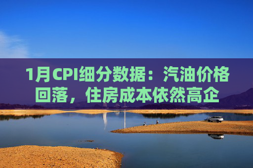 1月CPI细分数据：汽油价格回落，住房成本依然高企