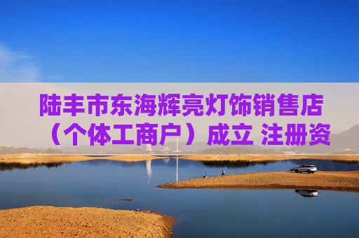 陆丰市东海辉亮灯饰销售店（个体工商户）成立 注册资本1万人民币