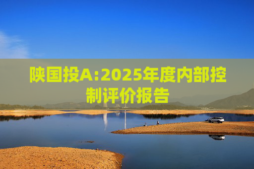 陕国投A:2025年度内部控制评价报告