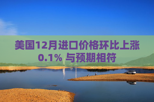 美国12月进口价格环比上涨0.1% 与预期相符
