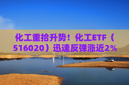 化工重拾升势！化工ETF（516020）迅速反弹涨近2%