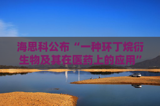 海思科公布“一种环丁烷衍生物及其在医药上的应用”专利