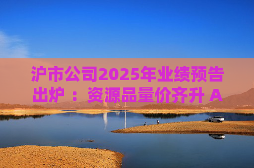 沪市公司2025年业绩预告出炉 ：资源品量价齐升 AI链景气延续