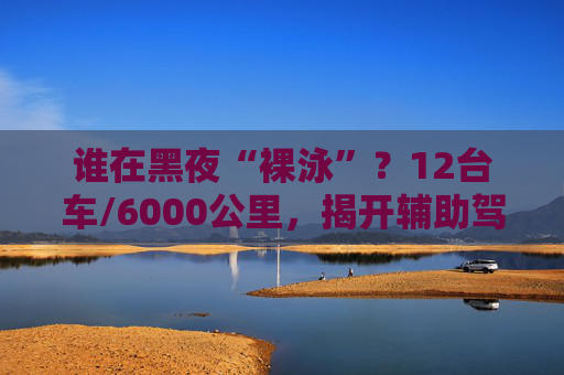 谁在黑夜“裸泳”？12台车/6000公里，揭开辅助驾驶的夜盲真相  第1张