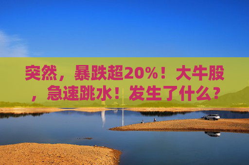 突然，暴跌超20%！大牛股，急速跳水！发生了什么？