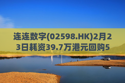 连连数字(02598.HK)2月23日耗资39.7万港元回购5.3万股  第1张