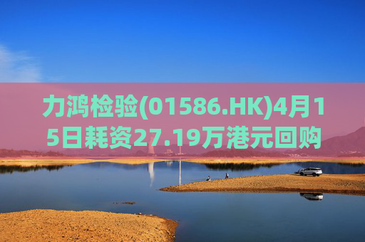 力鸿检验(01586.HK)4月15日耗资27.19万港元回购11.6万股