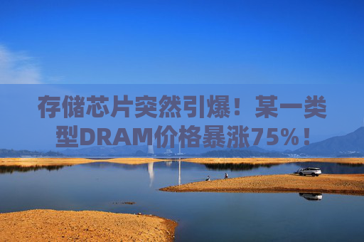 存储芯片突然引爆！某一类型DRAM价格暴涨75%！