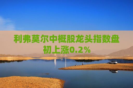 利弗莫尔中概股龙头指数盘初上涨0.2%