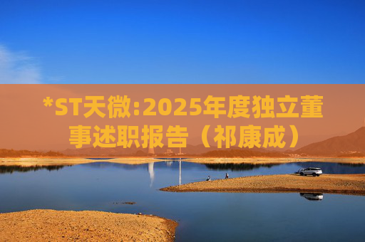 *ST天微:2025年度独立董事述职报告（祁康成）