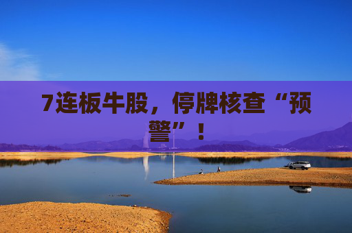 7连板牛股，停牌核查“预警”！