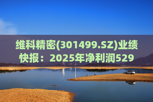 维科精密(301499.SZ)业绩快报：2025年净利润5293.82万元 同比增长16.85%