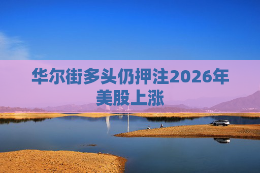 华尔街多头仍押注2026年美股上涨