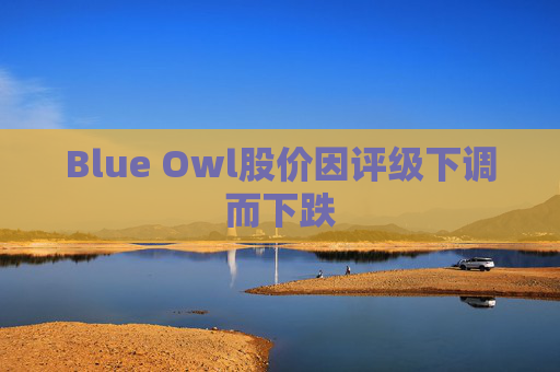Blue Owl股价因评级下调而下跌  第1张