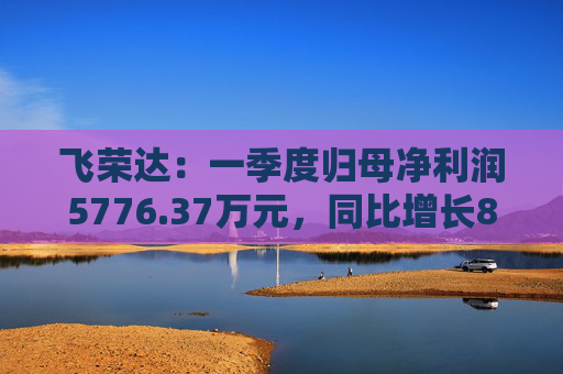 飞荣达：一季度归母净利润5776.37万元，同比增长85.57%  第1张
