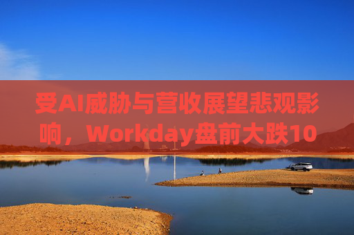 受AI威胁与营收展望悲观影响，Workday盘前大跌10%