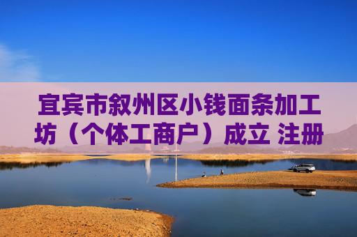 宜宾市叙州区小钱面条加工坊（个体工商户）成立 注册资本30万人民币