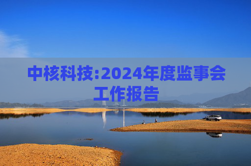 中核科技:2024年度监事会工作报告