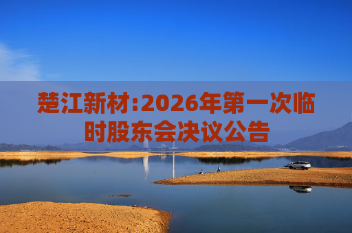 楚江新材:2026年第一次临时股东会决议公告