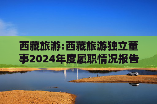 西藏旅游:西藏旅游独立董事2024年度履职情况报告（高金波）