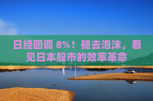 日经回调 8%！褪去泡沫，看见日本股市的效率革命