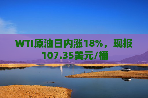 WTI原油日内涨18%，现报107.35美元/桶