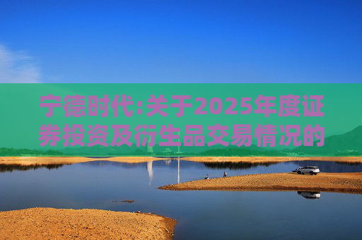 宁德时代:关于2025年度证券投资及衍生品交易情况的专项说明