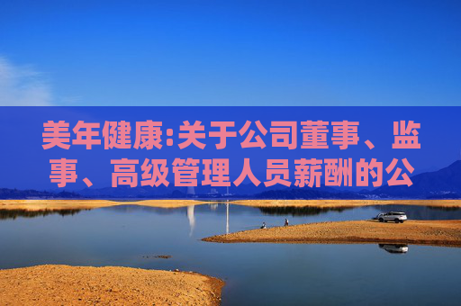 美年健康:关于公司董事、监事、高级管理人员薪酬的公告