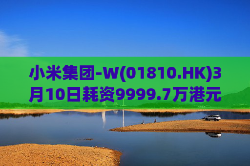 小米集团-W(01810.HK)3月10日耗资9999.7万港元回购297.7万股