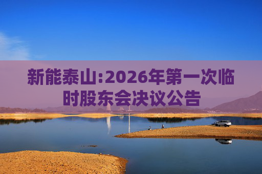 新能泰山:2026年第一次临时股东会决议公告