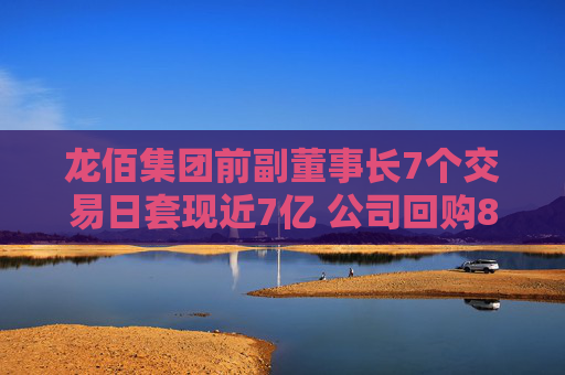 龙佰集团前副董事长7个交易日套现近7亿 公司回购8个月仅花2548万元！股吧投资者质疑“公司就不想回购”