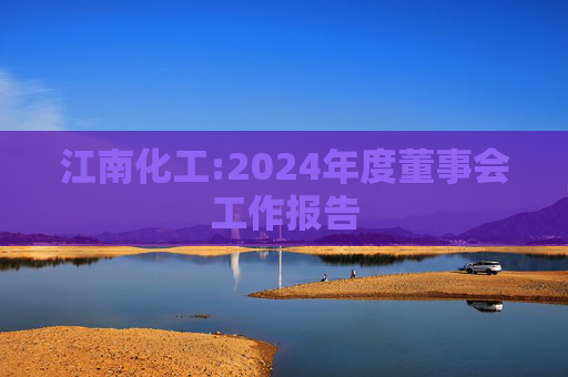 江南化工:2024年度董事会工作报告