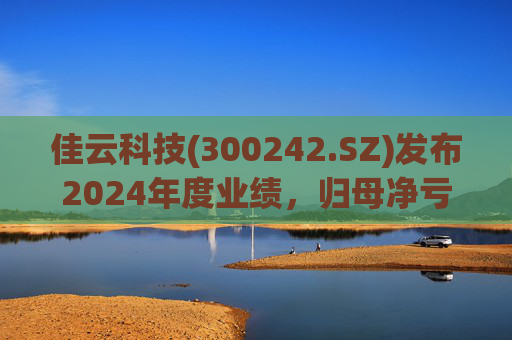 佳云科技(300242.SZ)发布2024年度业绩，归母净亏损1.06亿元，扩大10.93%  第1张