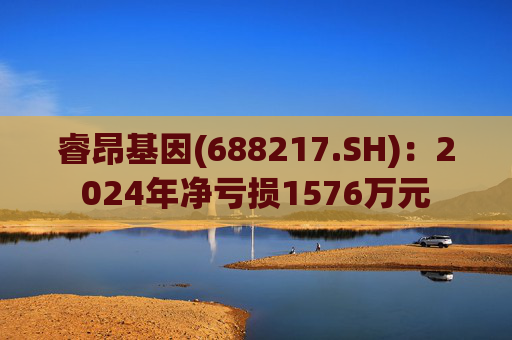 睿昂基因(688217.SH)：2024年净亏损1576万元