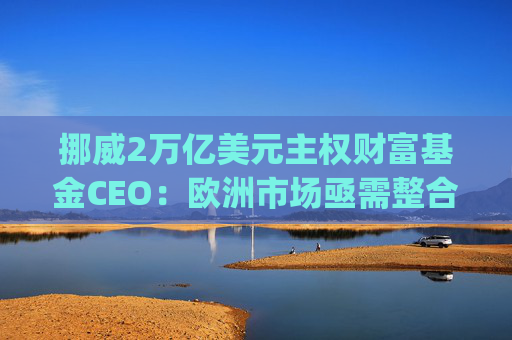 挪威2万亿美元主权财富基金CEO：欧洲市场亟需整合，"赢家通吃"