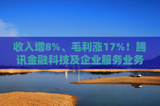 收入增8%、毛利涨17%！腾讯金融科技及企业服务业务稳健增长