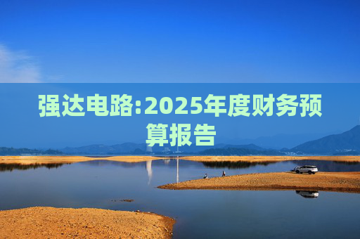 强达电路:2025年度财务预算报告