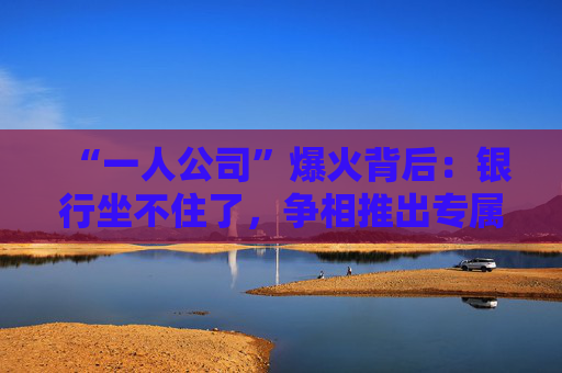 “一人公司”爆火背后：银行坐不住了，争相推出专属金融方案