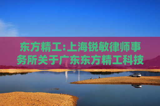 东方精工:上海锐敏律师事务所关于广东东方精工科技股份有限公司重大资产重组前业绩异常或本次重组存在拟置出资产情形之专项核查意见
