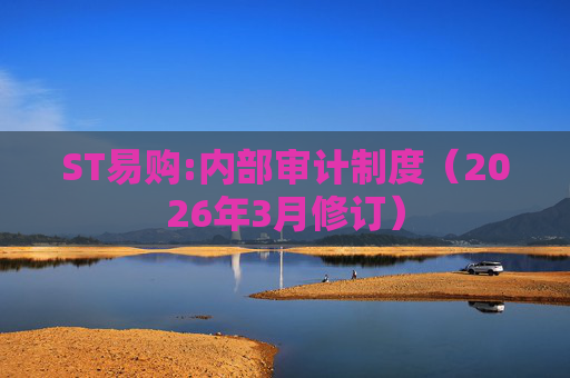 ST易购:内部审计制度（2026年3月修订）  第1张