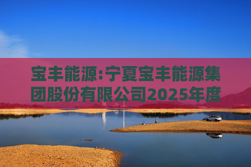 宝丰能源:宁夏宝丰能源集团股份有限公司2025年度独立董事述职报告（孙积禄）