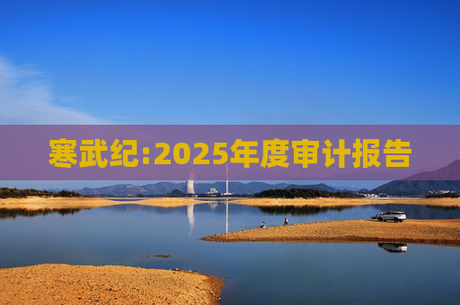 寒武纪:2025年度审计报告