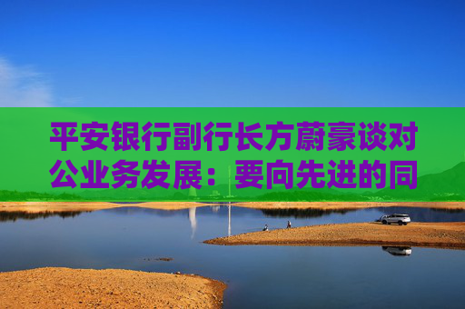 平安银行副行长方蔚豪谈对公业务发展：要向先进的同行多去学习，同时要大快步赶上