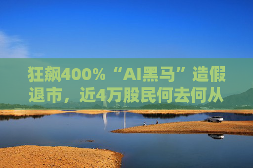狂飙400%“AI黑马”造假退市，近4万股民何去何从？  第1张