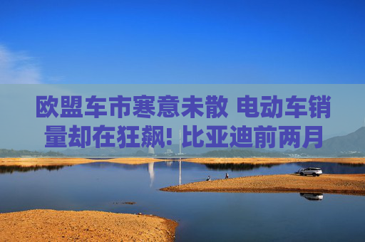 欧盟车市寒意未散 电动车销量却在狂飙! 比亚迪前两月销量猛增179%