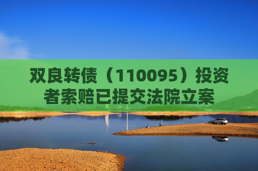 双良转债（110095）投资者索赔已提交法院立案