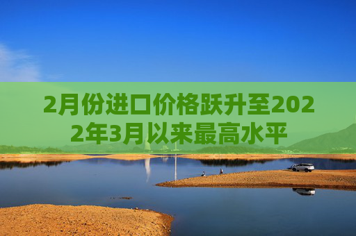 2月份进口价格跃升至2022年3月以来最高水平