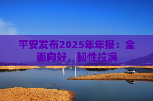 平安发布2025年年报：全面向好，韧性拉满