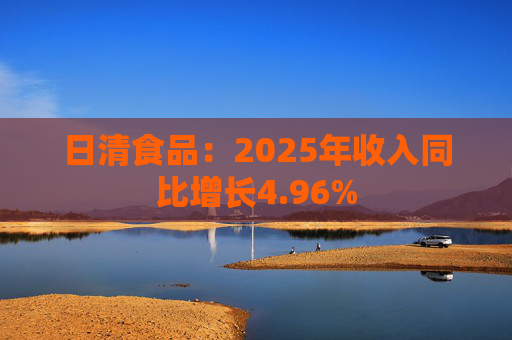 日清食品：2025年收入同比增长4.96%